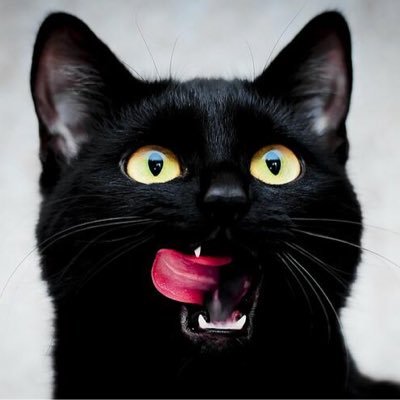 a guy posting lgd and dykebreaking content because it’s actually so hot