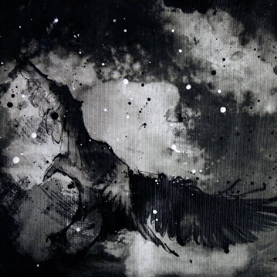 GreyRavenX1's profile picture. 