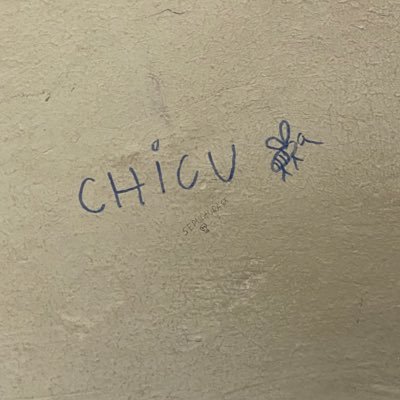 obardalora's profile picture. futura pedreira do corpo humano