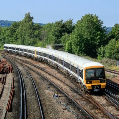 92044Couperin_'s profile picture. transport photographer