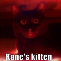 The Intern (@kanekittens) 's Twitter Profile