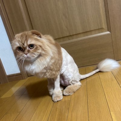 raikun12253535's profile picture. 荒野ID   4215285901  よろしくね😉😉