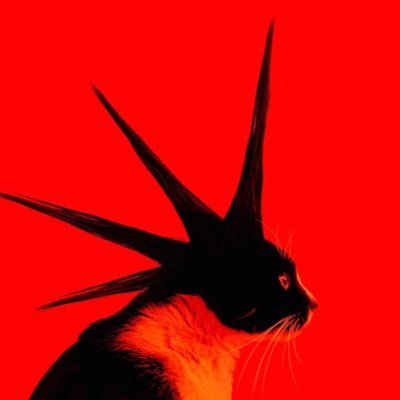 redonni80's profile picture. I like red :3 (25, very much fruity 🍑)