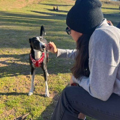 ancarballo9's profile picture. 🐾🩵