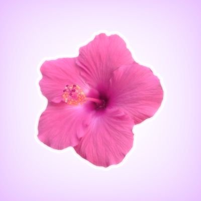 ⌗ 💌┆ espacio exclusivo para mujeres/enbys que les atraen otras mujeres/enbys.