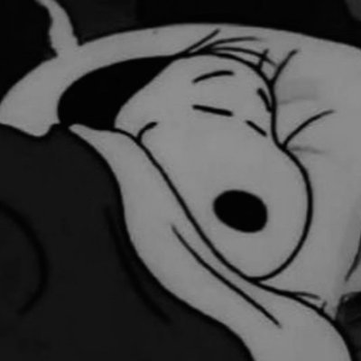 mattwithatilda's profile picture. spongetron