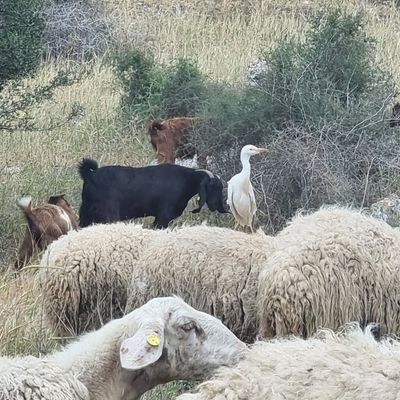 Fiona_GCH's profile picture. Don't fake it baby Lay the real thing on me