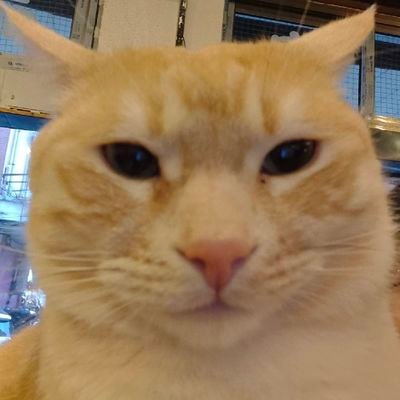 19mrpicass's profile picture. .