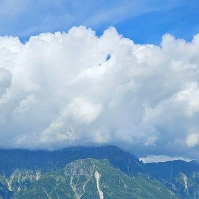 kodakumi537's profile picture. 私は動物のぬいぐるみと花が大好きです🥰🥰🥰🥰