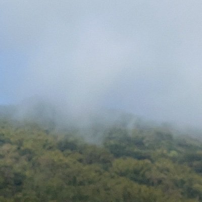 asd3214902's profile picture. 