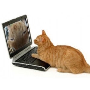 naol4ncifol1um's profile picture. its always “ily” and never “dyrtinatgathg”