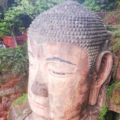 thw6688's profile picture. 曹操华佗故里，药材之乡，四大药都之首
微信55580134