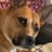 Solesistersro's profile image