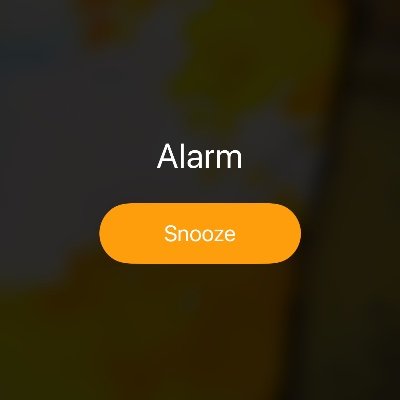 fallcatjake's profile picture. no