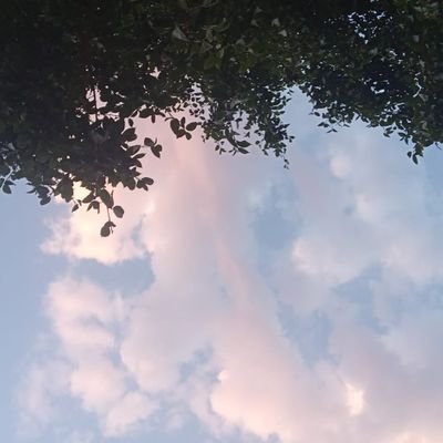 AmbreenAhmadd's profile picture. 