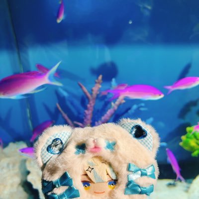 🐒さんのプロフィール画像