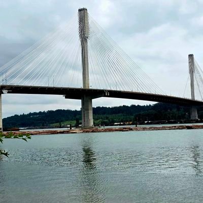 ashubhawar's profile picture. 