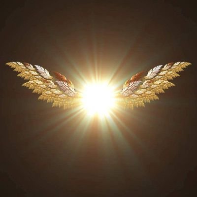 FioreCynthia's profile picture. When God knows you, He reveals the supernatural, then you connect the dots.
~ Father Richard Heilman ~✝️
