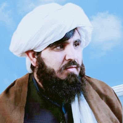 د احصاٸیي او معلوماتو ملې ادارې د ریاست معاوېن ۔