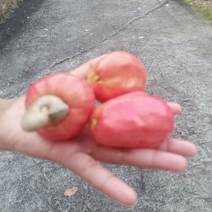 HaidarK__'s profile picture. Akun Alter