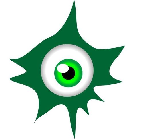 Intrusion Detection company based on Brazil
