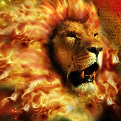 NILTONRS169582's profile picture. EU MINHA CASA SERVIMOS AO SENHOR.DEUS , PATRIA , FAMILIA