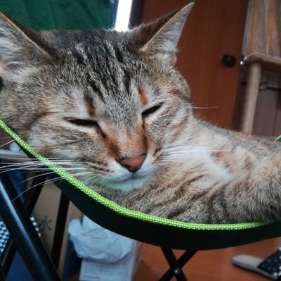 cjeBcm46G9KAzfH's profile picture. そりゃ、愛じゃない依存だよ。
君と王と天皇の三つ巴。
死ぬまで我長息。鎖国せよ。