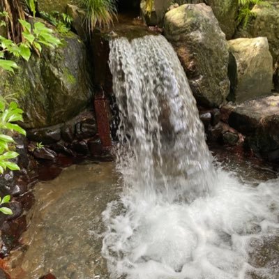 marinade31's profile picture. 短歌をしています/短歌以外も好きです