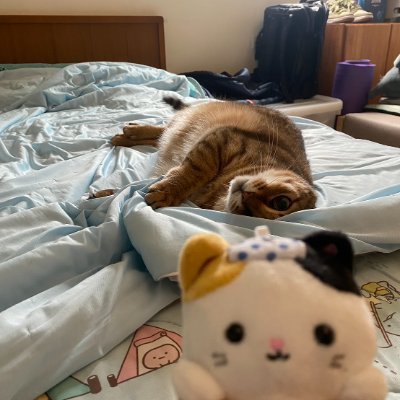 Dumbo0628's profile picture. Only by loving yourself first can you have the ability to care for those you love