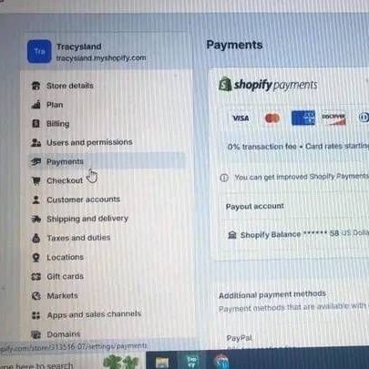 Payment Gateway Specialist | Web Developer | Helping businesses build secure, seamless online payment solutions and powerful websites