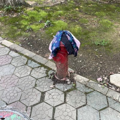 nnn1726769's profile picture. 农｜03 173cm 53kg 16cm｜喜欢看男生射精｜只发本人，可互推，看到戳xp的会转推｜深圳