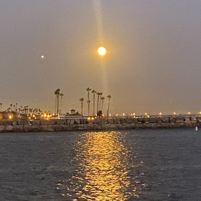 omarraf10's profile picture. CS student | Building things in public | Interested in backend, AI, and open source