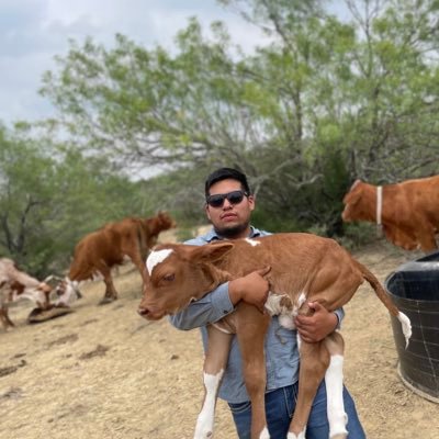 jesus944349's profile picture. 