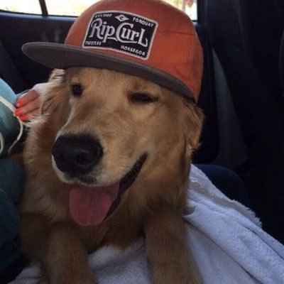 www_whoz's profile picture. 19 y