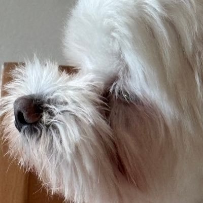 Mk828_'s profile picture. noteに書いた文章を載せています