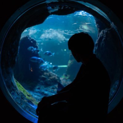 zera_aqua's profile picture. 無言フォロー失礼します！🙇‍♂️ 海水魚と水族館が大好きです！ 気軽に絡んでもらって大丈夫です！｜🪪えのすい アクパ｜04 ｜📷 LUMIX GF5、PENTAX K5