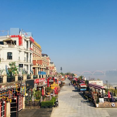 shisanyue93's profile picture. 二级终极反指，链上亏钱大湿。