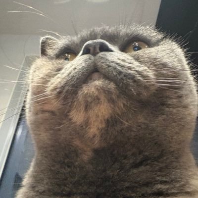 EgkUrMtleM54203's profile picture. 