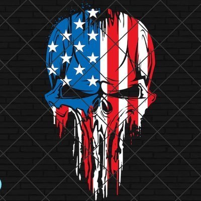 USAF cold war veteran -#Nuclear-#USconstitutionalist-#1176-#NRA-#Harley Davidson -#RonaldReagan-#DjT19-#JFkjr