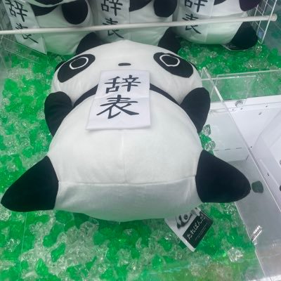 pipkpk555's profile picture. 🎯2025.8.11〜出戻り🫡文山雪華（@lvpcj_f6b）推し⛄️ヘッダーは八王子帝国の女(@DARTS_Apoipoi)