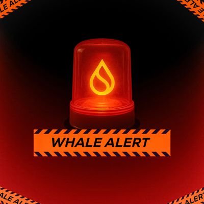 SuiWhaleAlerts's profile picture. Live reporting on large and interesting Info coming out from the Sui Defi ecosystem.
