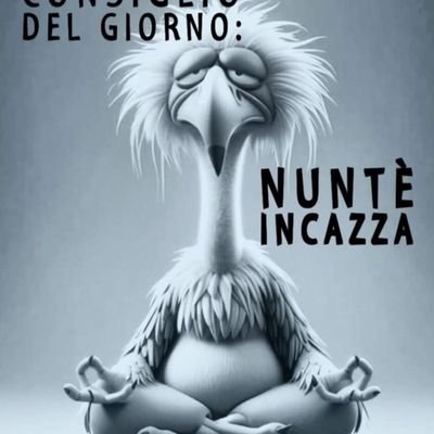 zoe162044278's profile picture. 