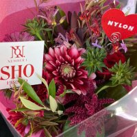 AK (@sho_lover_ilysk) 's Twitter Profile Photo