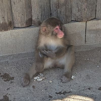 delldell1_1's profile picture. PR