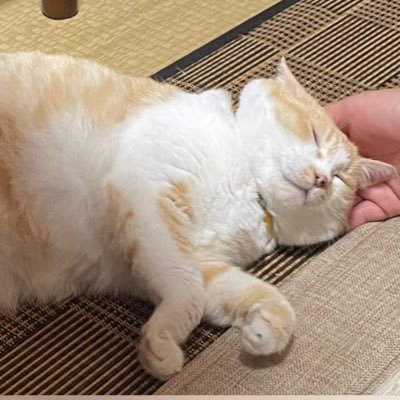 ハマチ屋(だし醤油)さんのプロフィール画像