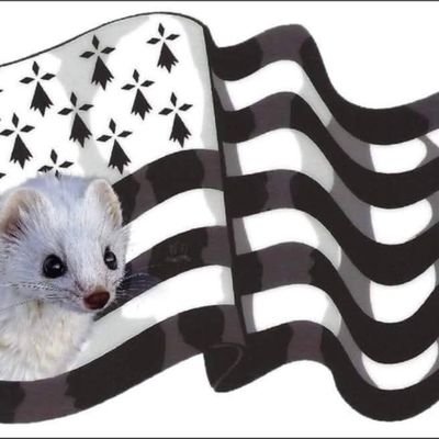 Serge Le Gouil Profile