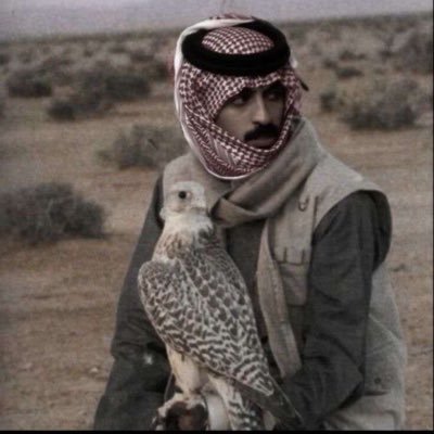 zf1915348596393's profile picture. 