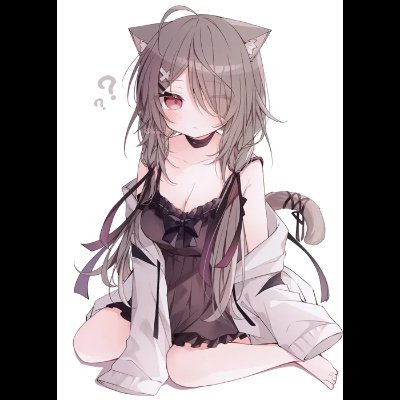Patrice5529672's profile picture. 