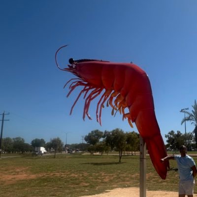 leekprawn's profile picture. 