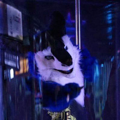 AjaxCrenshaw's profile picture. Sergal | Male | 24 | 🔞maybe NSFW 🤍@krislintigo🤍
I'm learning to work in a blender, I also want to learn how to develop games